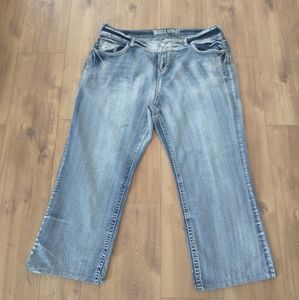 Wallflower denim jeans size 24 regular